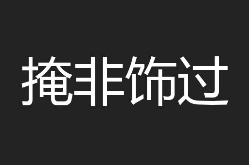掩非饰过