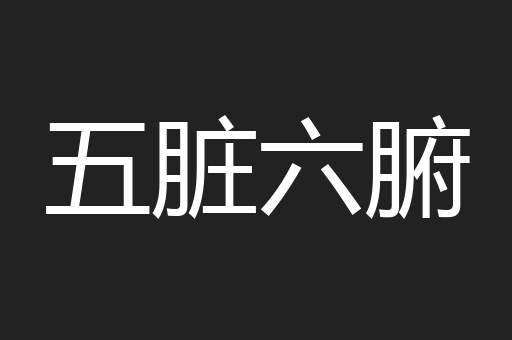 五脏六腑