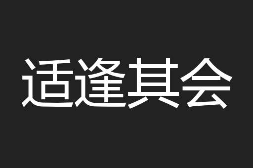 适逢其会