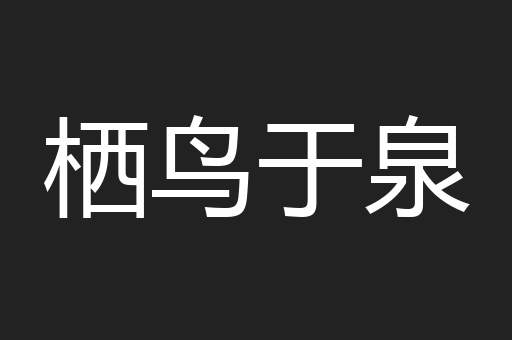 栖鸟于泉