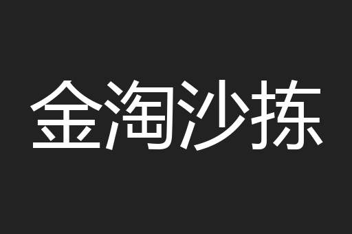 金淘沙拣