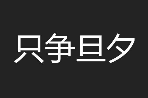 只争旦夕