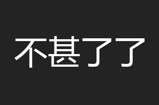 不甚了了