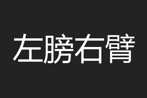 左膀右臂