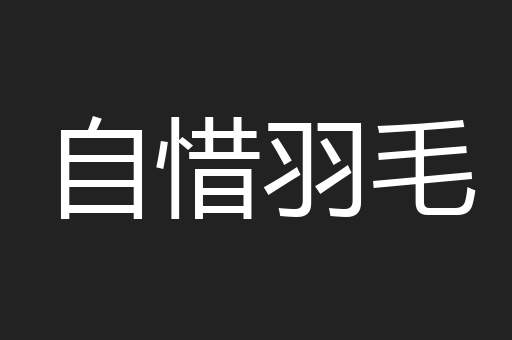 自惜羽毛