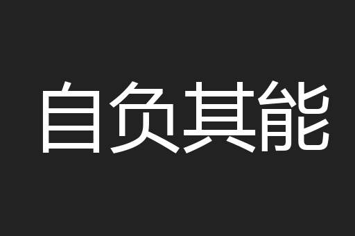 自负其能