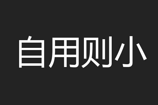 自用则小