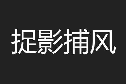 捉影捕风