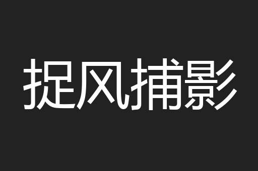 捉风捕影