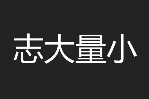 志大量小
