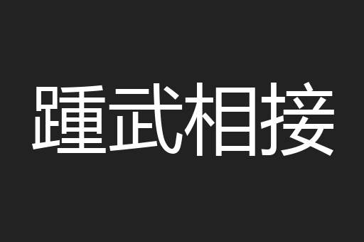 踵武相接