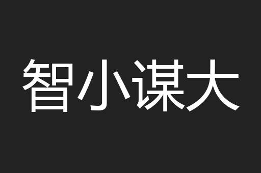 智小谋大