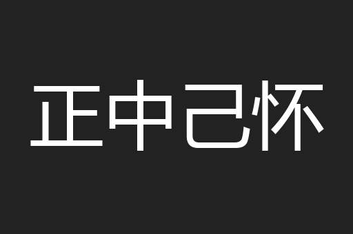 正中己怀