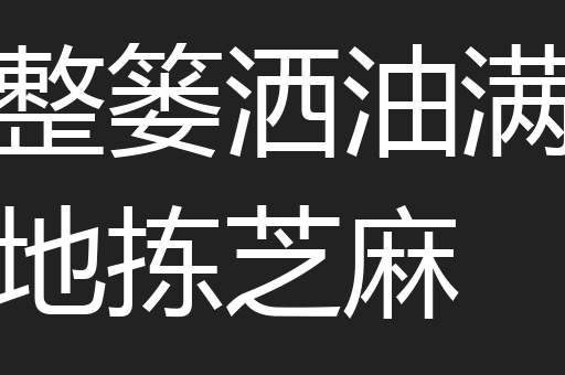 整篓洒油满地拣芝麻