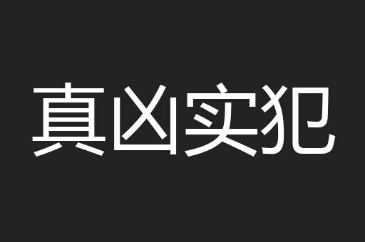 真凶实犯