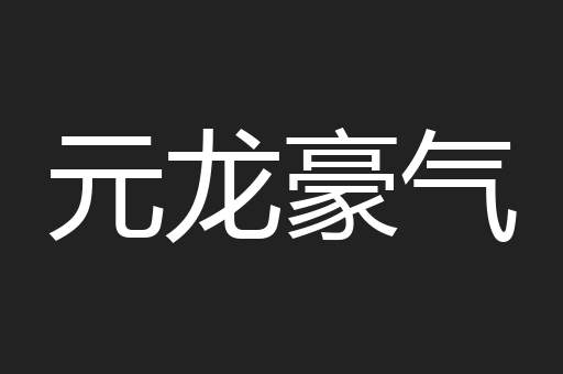 元龙豪气