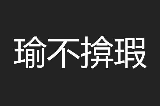 瑜不揜瑕