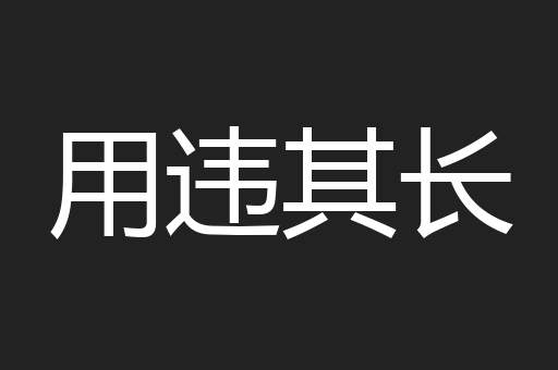 用违其长