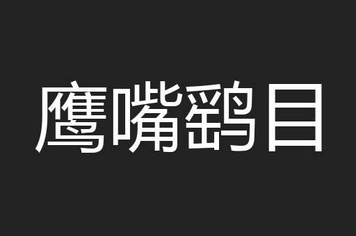 鹰嘴鹞目