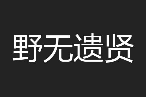 野无遗贤