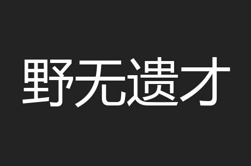 野无遗才