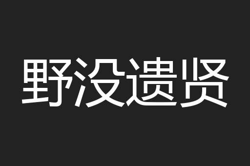 野没遗贤