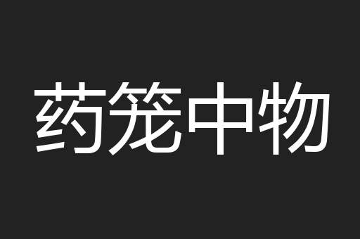 药笼中物