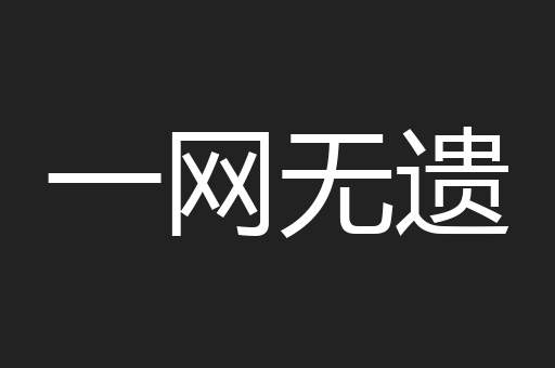 一网无遗