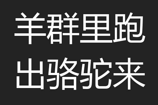羊群里跑出骆驼来