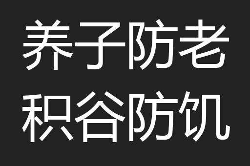 养子防老积谷防饥