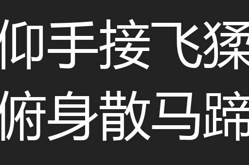 仰手接飞猱俯身散马蹄