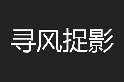 寻风捉影