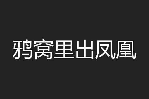 鸦窝里出凤凰
