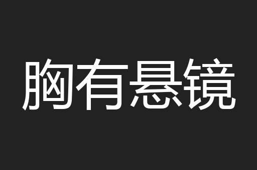 胸有悬镜