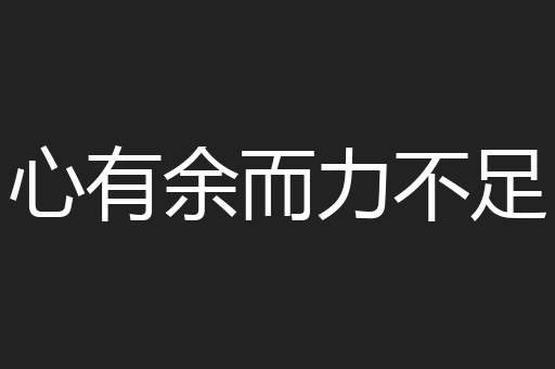 心有余而力不足