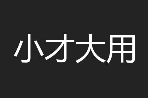 小才大用