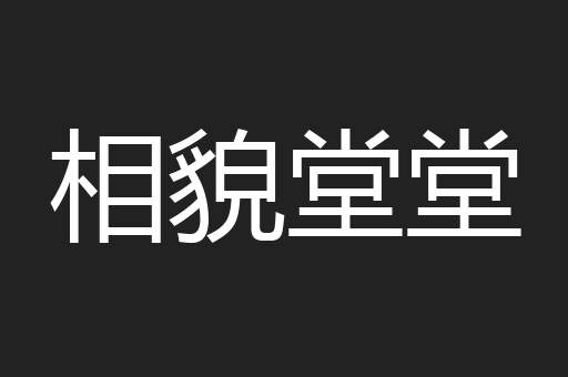 相貌堂堂