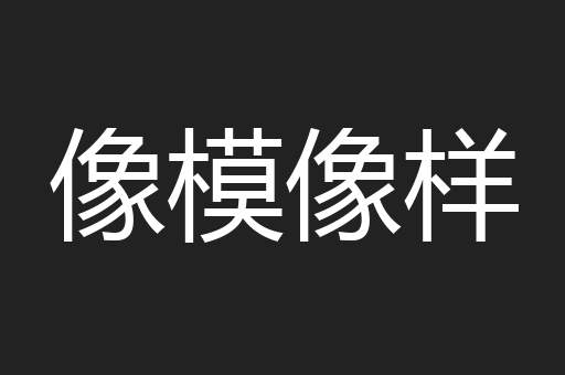 像模像样