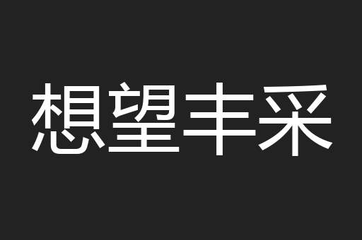 想望丰采
