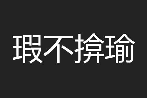 瑕不揜瑜