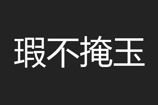 瑕不掩玉