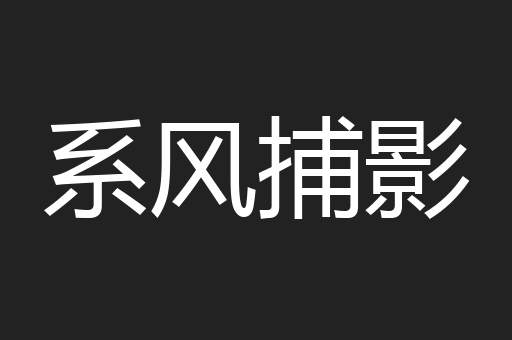 系风捕影