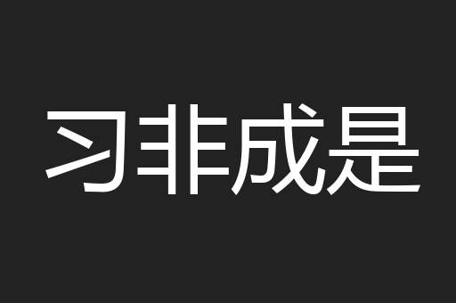 习非成是