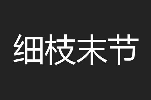 细枝末节