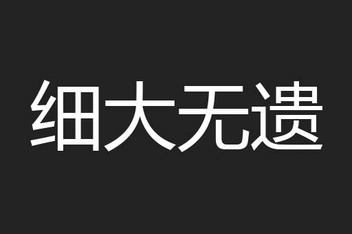 细大无遗