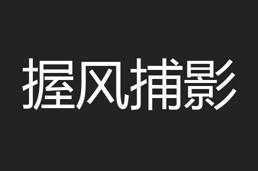 握风捕影