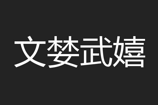 文婪武嬉