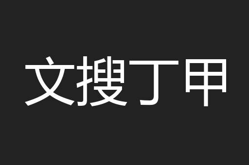 文搜丁甲