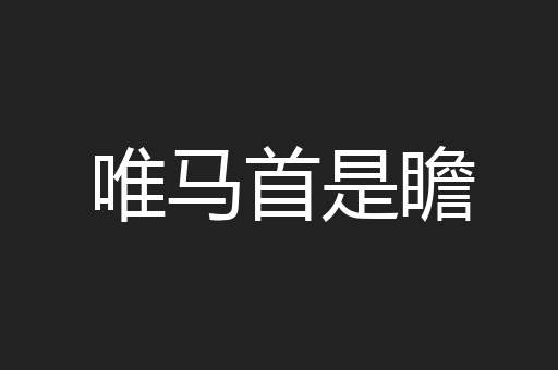 唯马首是瞻