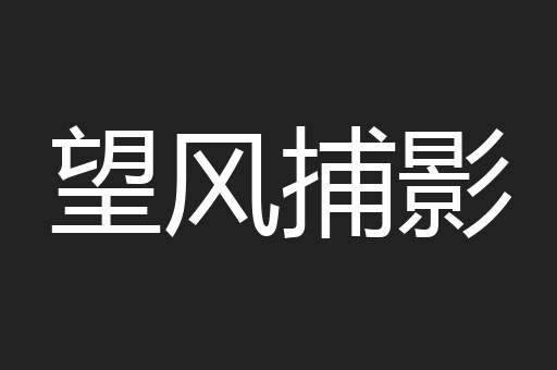 望风捕影